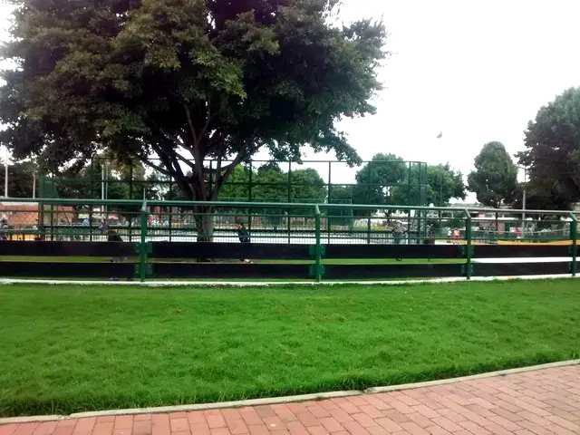 Escuela de patinaje