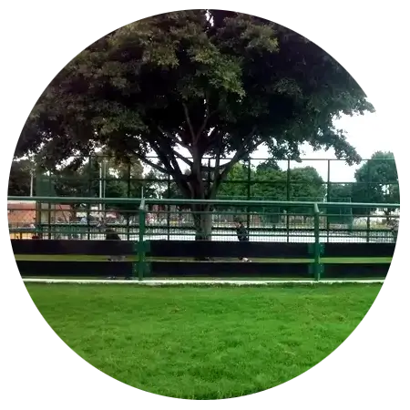 Escuela de patinaje